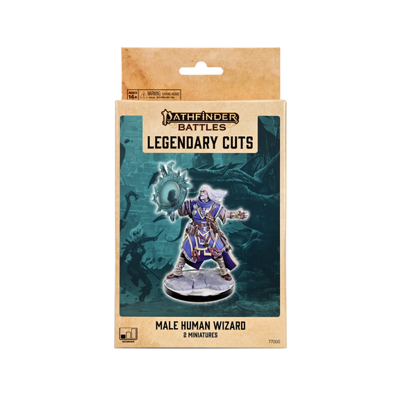 Pathfinder Legendary Cuts: Male Human Wizard
