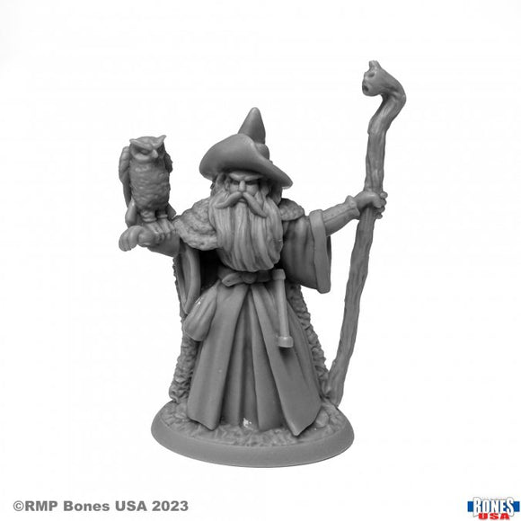 Reaper Legends Miniatures - Amathor the Arch-Mage Human Wizard