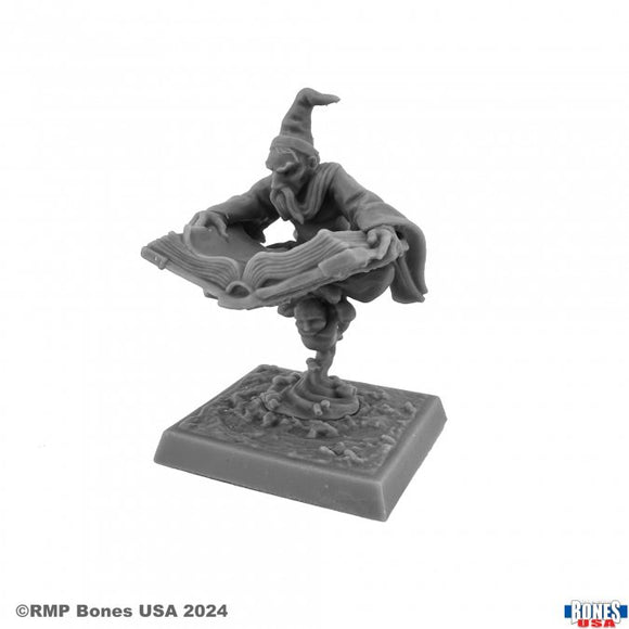 Reaper Legends Miniatures - Wizard #1