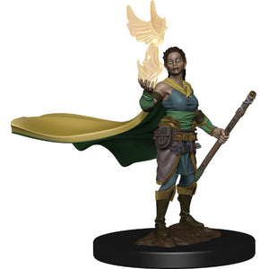 D&D Icons of the Realm: Premium Figures - Elf Female Druid (Wave 1)