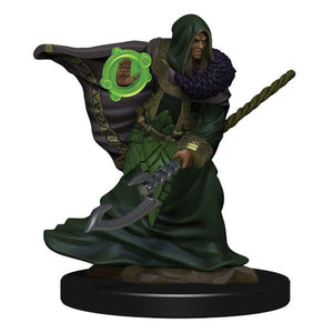 D&D Icons of the Realm: Premium Figures - Elf Male Druid (Wave 5)