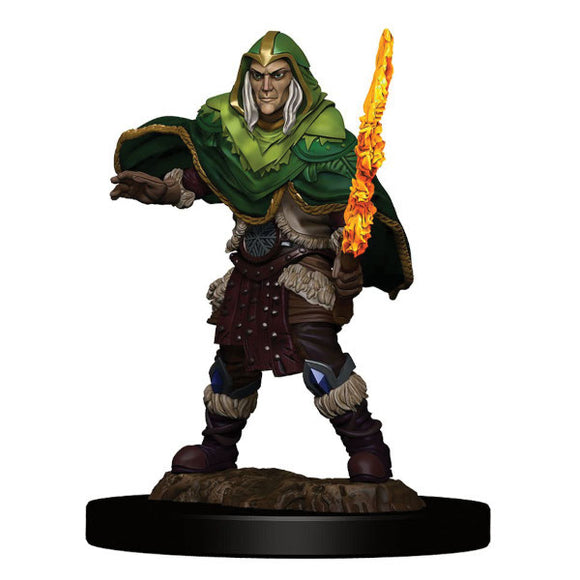 D&D Icons of the Realm: Premium Figures - Elf Male Fighter (Wave 5)