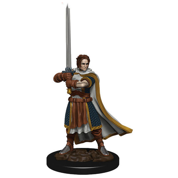 D&D Icons of the Realm: Premium Figures - Human Male Cleric (Wave 4)