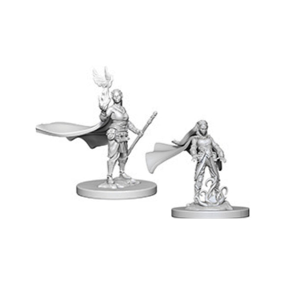 D&D Nolzur's Marvelous Miniatures: Female Elf Druid (Wave 4)