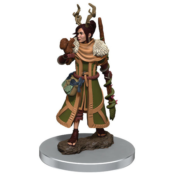 D&D Icons of the Realm: Premium Figures - Human Female Druid (Wave 7)