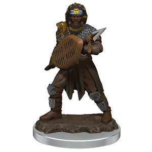 D&D Icons of the Realm: Premium Figures - Human Male Fighter (Wave 7)