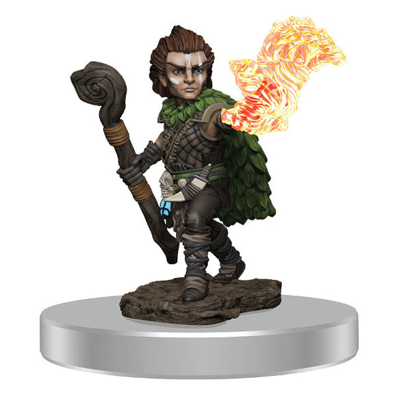 Pathfinder Battles: Premium Figures - Gnome Druid Male (Wave 3)